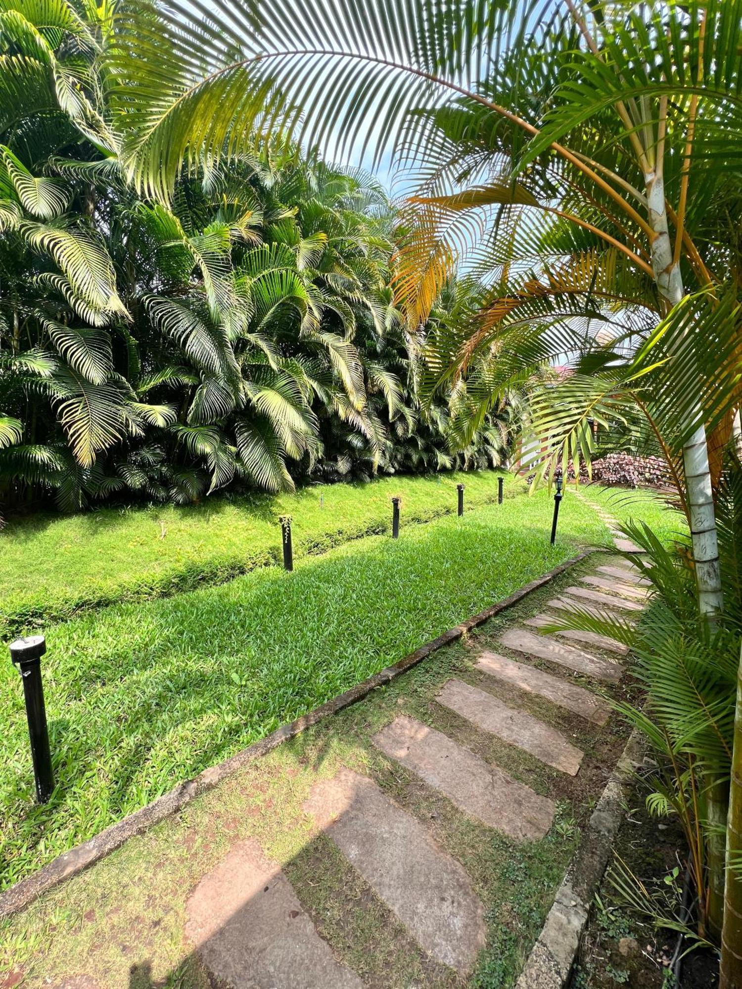 Coorg Nesara Hotel And Resort Kushālnagar Extérieur photo